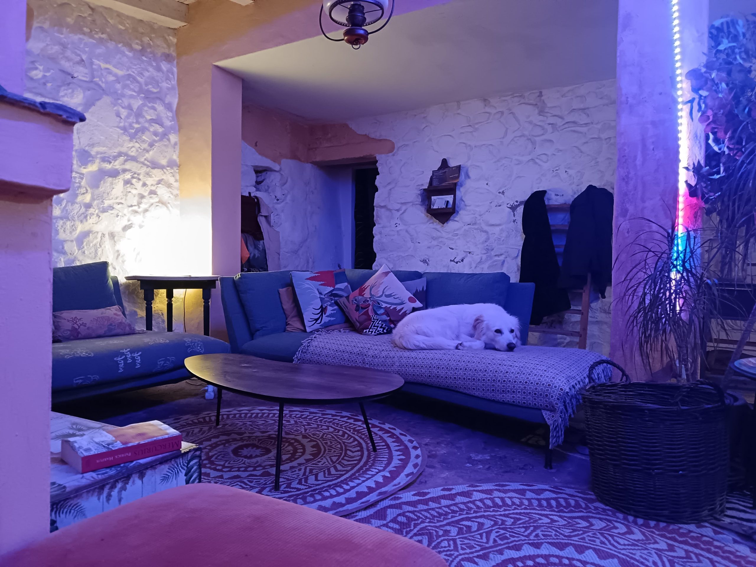 WhatsApp Image 2025-04-18 at 13.06.18 (1)