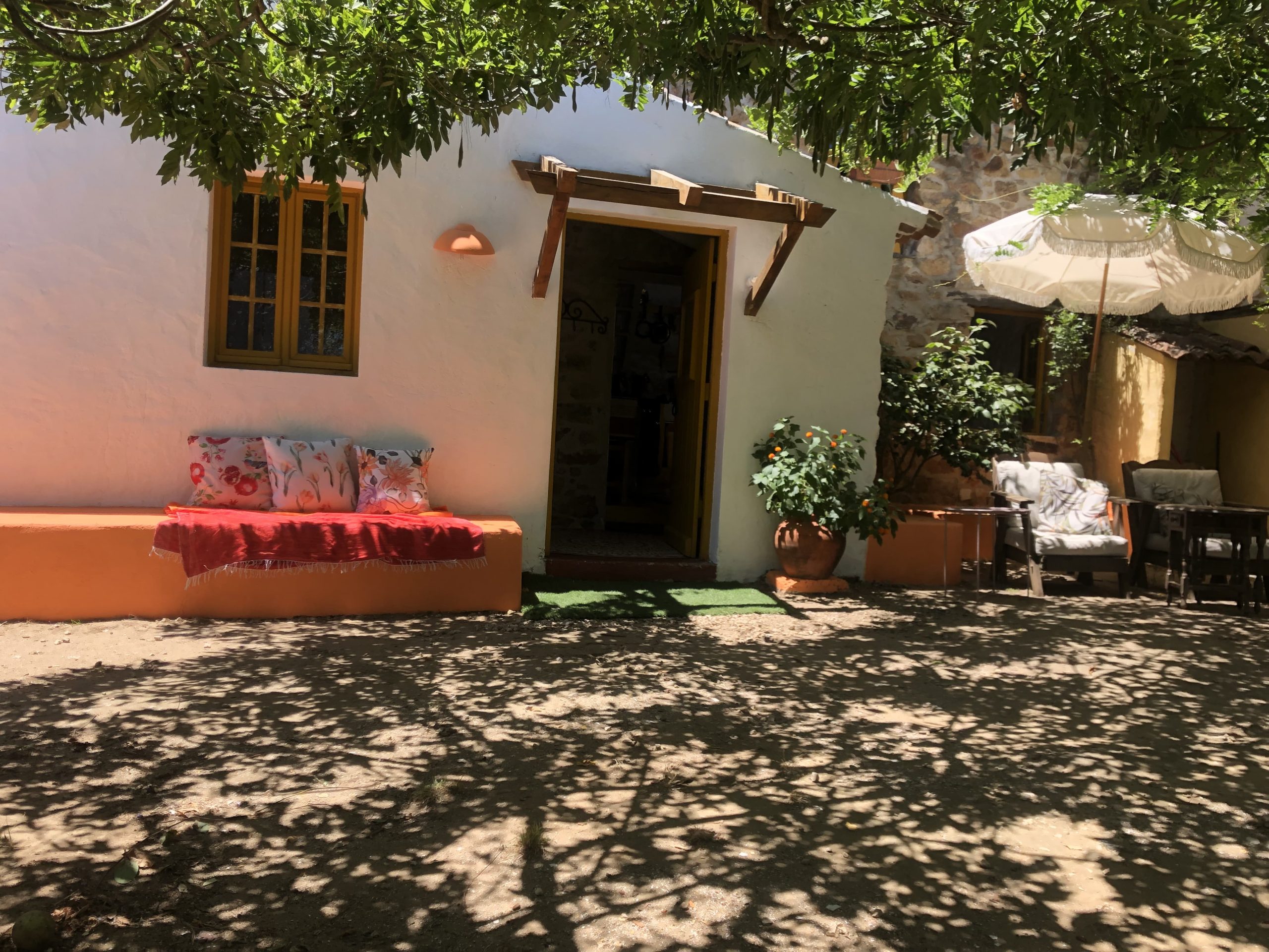 WhatsApp Image 2025-04-19 at 19.22.59